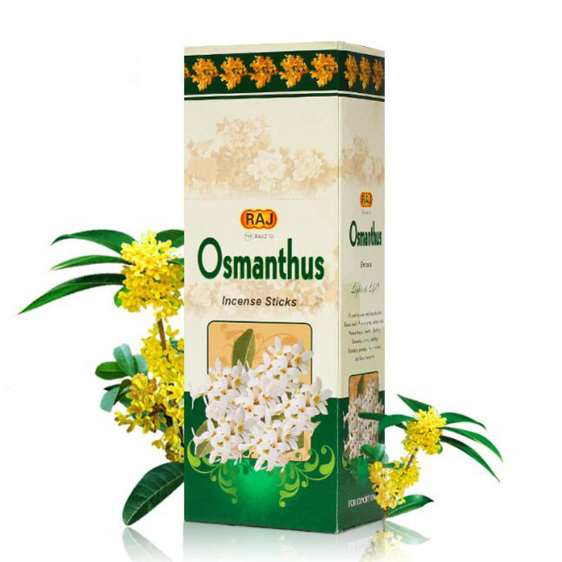 Candle Fragrance Supplies - Incenso importato dall'India, sapore di osmanto,