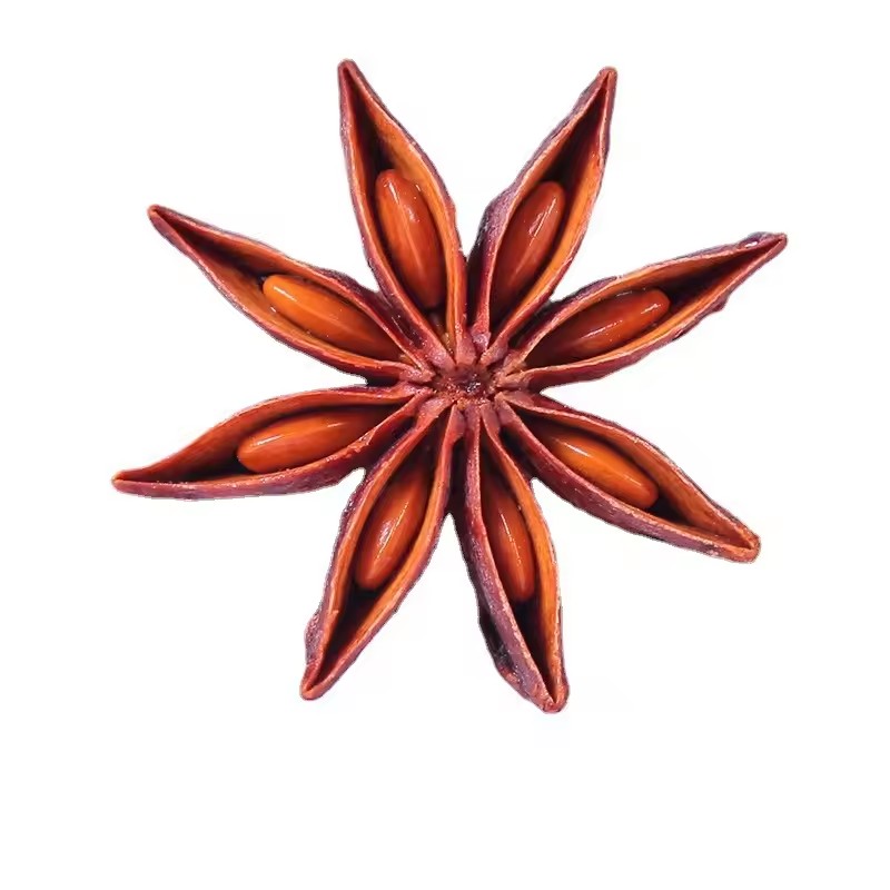 Anice Stellato Essiccato Natur - Candle Glass Supplies recensione e prezzo